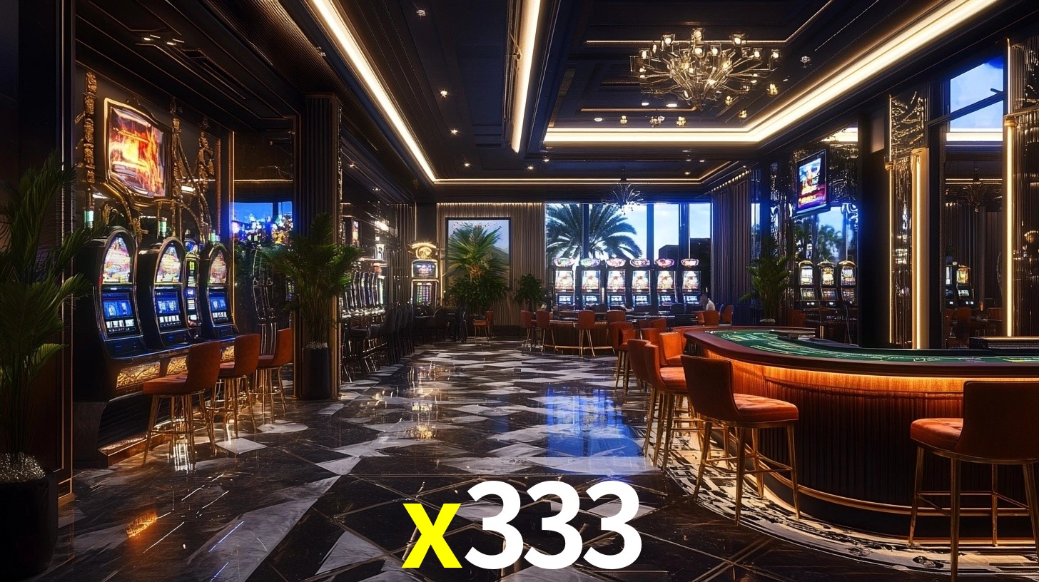 x333